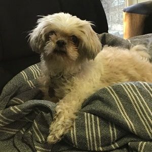 Meet your Posher, Emma